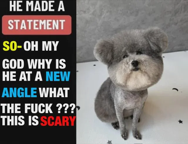 HE MADE A STATEMENT SO-OH MY GOD WHY IS HE AT A NEW ANGLE WHAT THE F--- ??? THIS IS SCARY