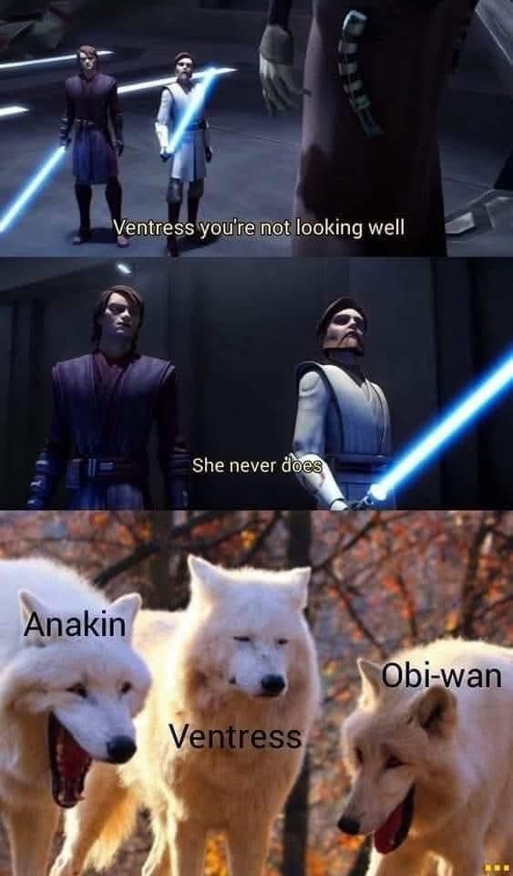 Anakin Ventress you're not looking well She never does Ventress Obi-wan