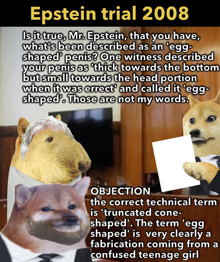Epstein trial 2008 Is it true, Mr. Epstein, that you have, what's been described as an egg- shaped penis? One witness described your penis as 'thick towards the bottom but small towards the head portion when it was errect and called it 'egg- shaped'. Those are not my words. OBJECTION the correct technical term is 'truncated cone- shaped'. The term 'egg shaped' is very clearly a fabrication coming from a confused teenage girl