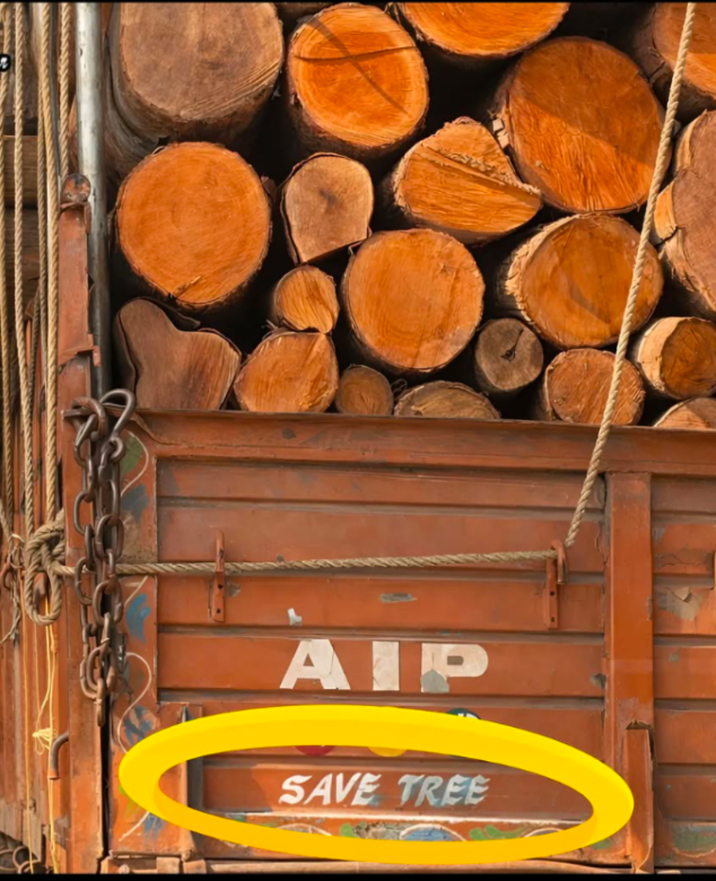 AIP SAVE TREE