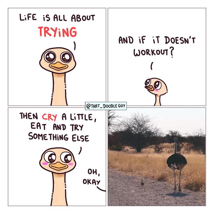 LIFE IS ALL ABOUT TRYING AND IF IT DOESN'T WORKOUT? 1 @THAT DOODLE GUY THEN CRY A LITTLE, EAT AND TRY SOME THING ELSE он, OKAY