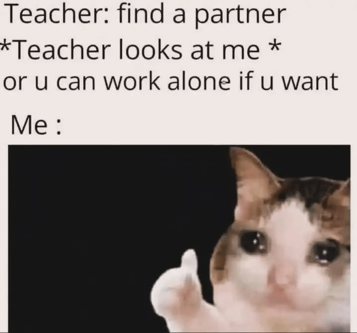 Teacher: find a partner *Teacher looks at me * or u can work alone if u want Me: