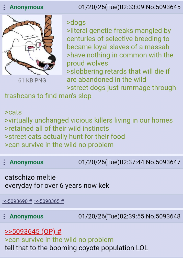 : Anonymous 61 KB PNG 01/20/26(Tue) 02:33:09 No.5093645 >dogs >literal genetic freaks mangled by centuries of selective breeding to became loyal slaves of a massah >have nothing in common with the proud wolves >slobbering retards that will die if are abandoned in the wild >street dogs just rummage through trashcans to find man's slop >cats >virtually unchanged vicious killers living in our homes >retained all of their wild instincts >street cats actually hunt for their food >can survive in the wild no problem : Anonymous 01/20/26(Tue) 02:37:44 No.5093647 catschizo meltie everyday for over 6 years now kek >>5093690 # >>5098365 # : Anonymous >>5093645 (OP) # 01/20/26(Tue)02:39:55 No.5093648 >can survive in the wild no problem tell that to the booming coyote population LOL