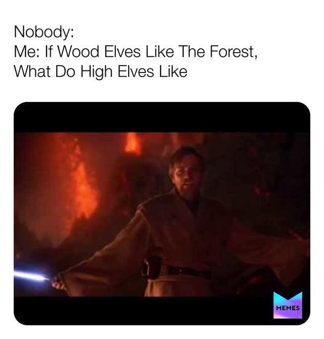 Nobody: Me: If Wood Elves Like The Forest, What Do High Elves Like MEMES