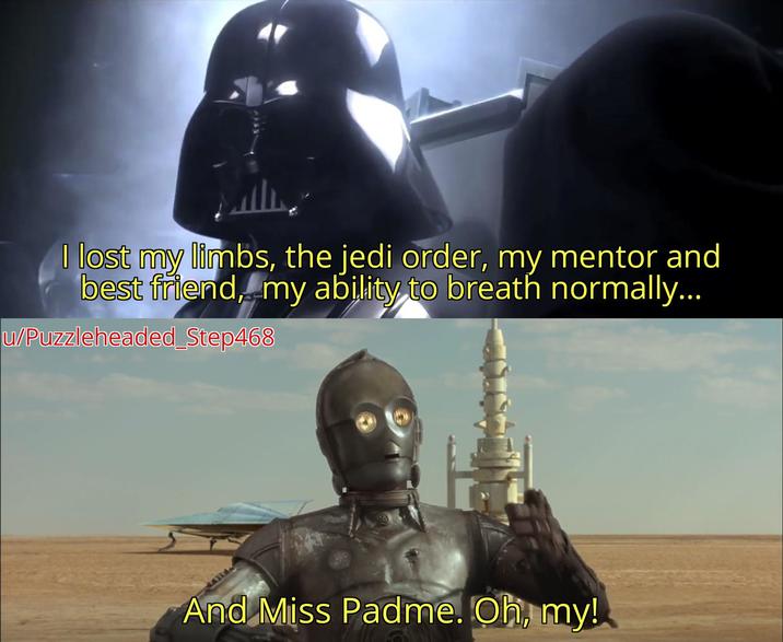I lost my limbs, the jedi order, my mentor and best friend, my ability to breath normally... u/Puzzleheaded_Step468 And Miss Padme. Oh, my!