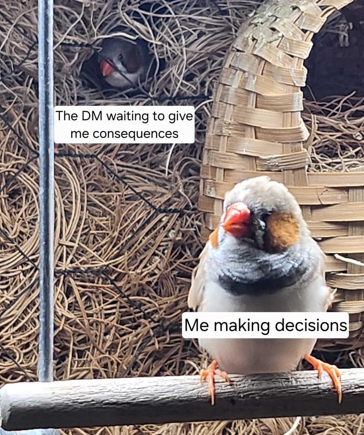 The DM waiting to give me consequences Me making decisions
