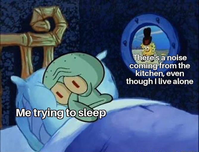 Me trying to sleep There's a noise coming from the kitchen, even though I live alone
