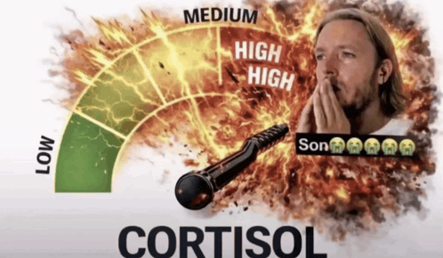 LOW MEDIUM HIGH HIGH Son CORTISOL