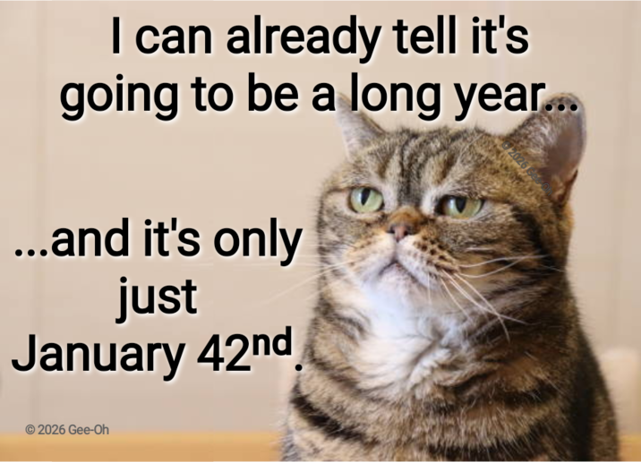 I can already tell it's going to be a long year... ...and it's only just January 42nd 0261 © 2026 Gee-Oh