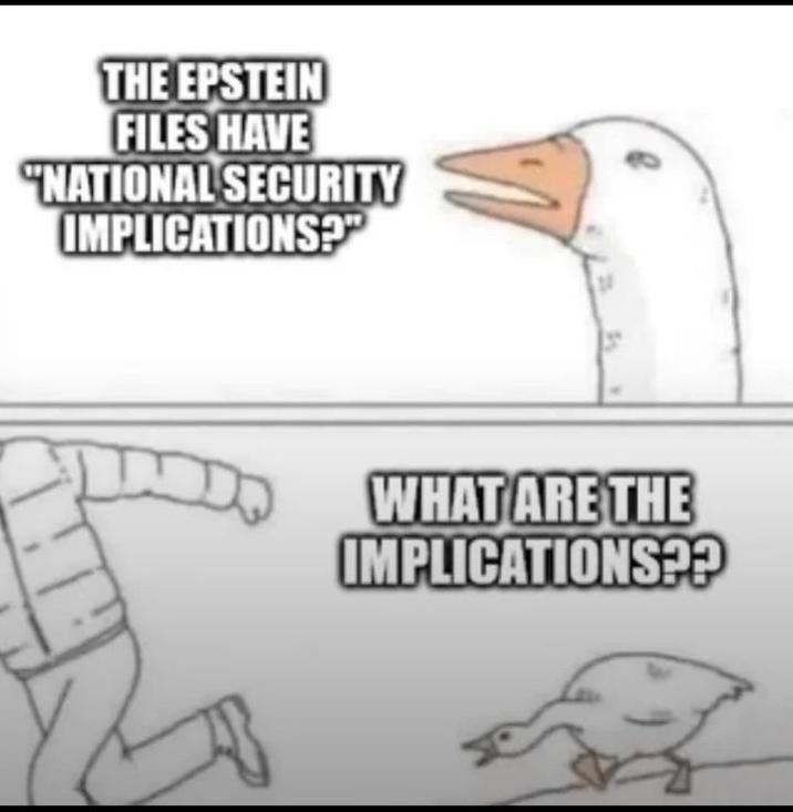 THE EPSTEIN FILES HAVE "NATIONAL SECURITY IMPLICATIONS?" WHAT ARE THE IMPLICATIONS??