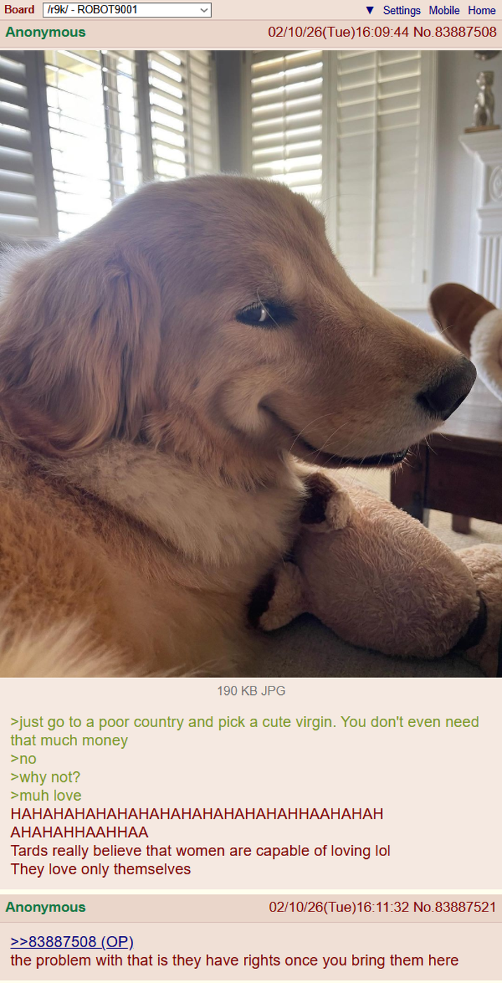Board /r9k/ - ROBOT9001 Anonymous Settings Mobile Home 02/10/26(Tue)16:09:44 No.83887508 190 KB JPG >just go to a poor country and pick a cute virgin. You don't even need that much money >no >why not? >muh love HAHAHAHAHAHAHAHAHAHAHAHAHAHHAAHAHAH AHAHAHHAAHHAA Tards really believe that women are capable of loving lol They love only themselves Anonymous >>83887508 (OP). 02/10/26(Tue)16:11:32 No.83887521 the problem with that is they have rights once you bring them here