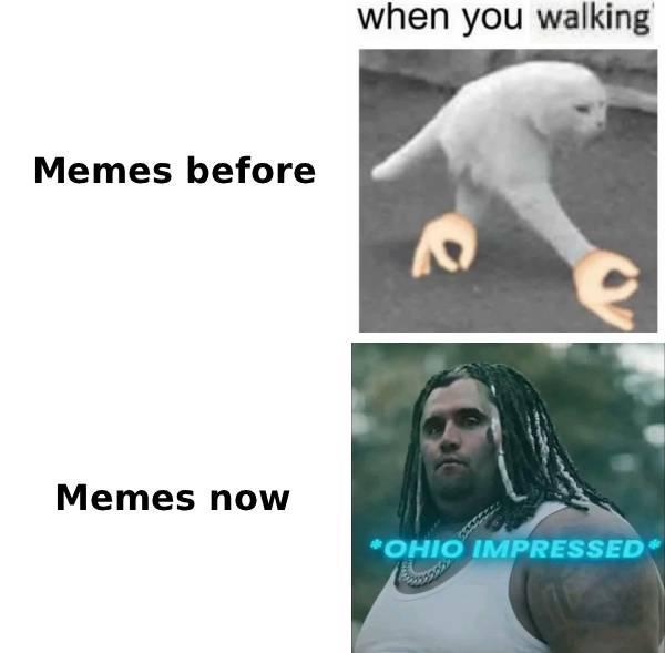 Memes before Memes now when you walking "OHIO IMPRESSED