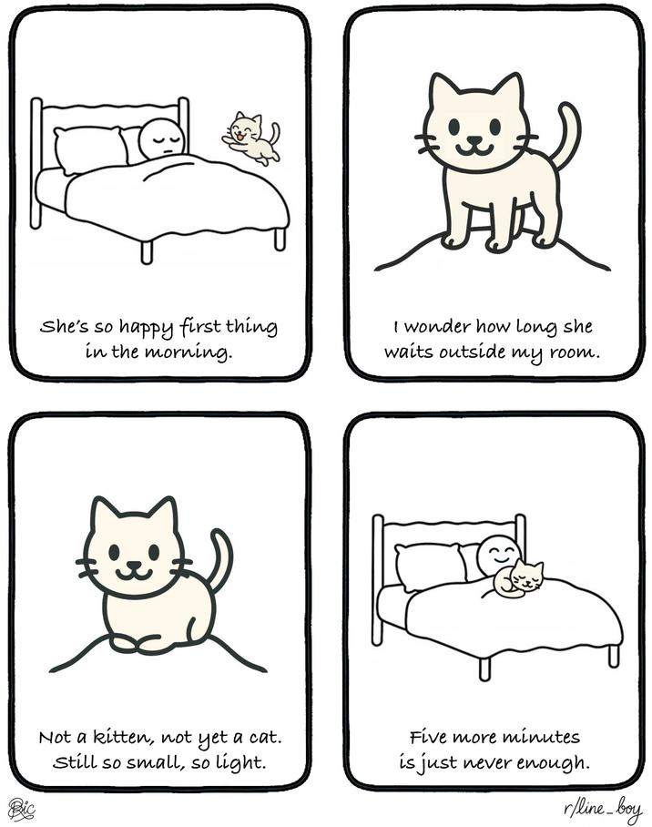She's so happy first thing in the morning. I wonder how long she waits outside my room. с Bic Not a kitten, not yet a cat. Still so small, so light. Five more minutes is just never enough. r/line_boy