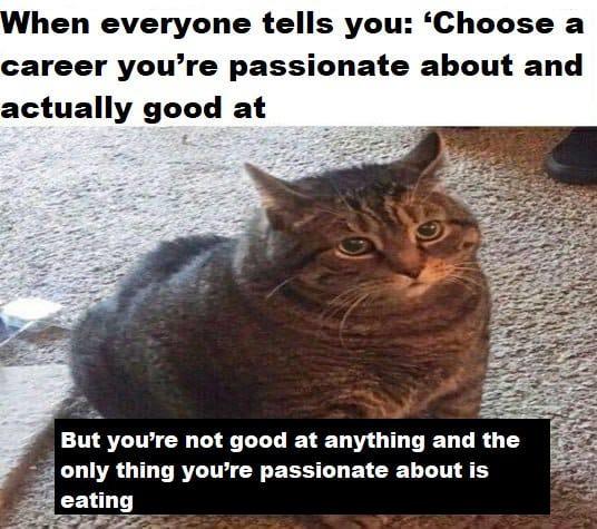 When everyone tells you: 'Choose a career you're passionate about and actually good at But you're not good at anything and the only thing you're passionate about is eating