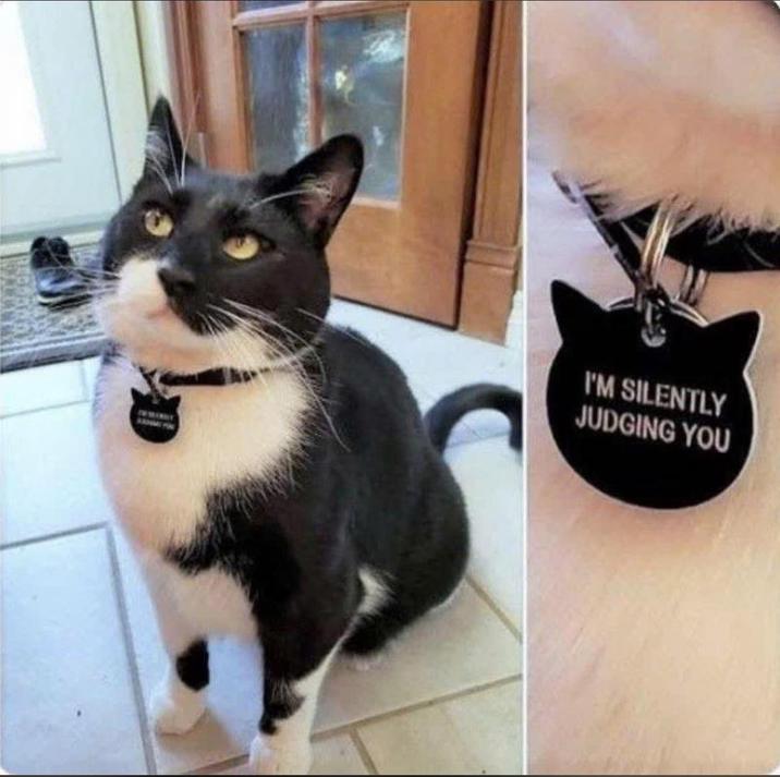 I'M SILENTLY JUDGING YOU