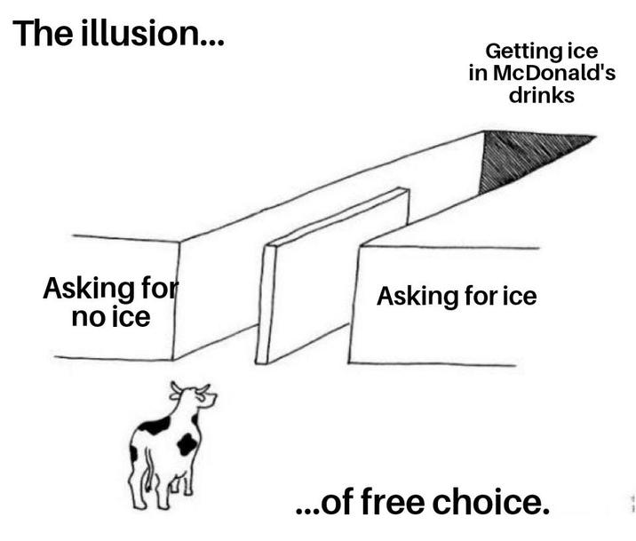 The illusion... Getting ice in McDonald's drinks Asking for no ice Asking for ice ...of free choice.
