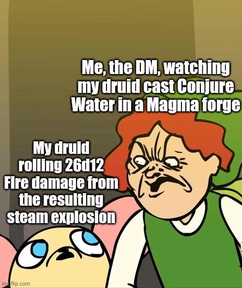 Me, the DM, watching my druid cast Conjure Water in a Magma forge My druid rolling 26d12 Fire damage from the resulting steam explosion im flip.com