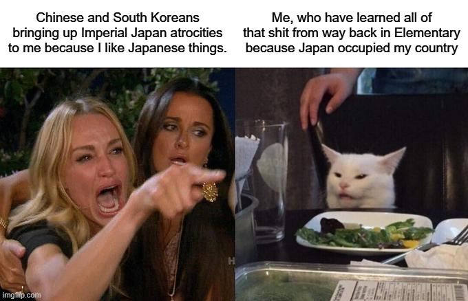 Chinese and South Koreans bringing up Imperial Japan atrocities to me because I like Japanese things. Me, who have learned all of that s--- from way back in Elementary because Japan occupied my country imgflip.com