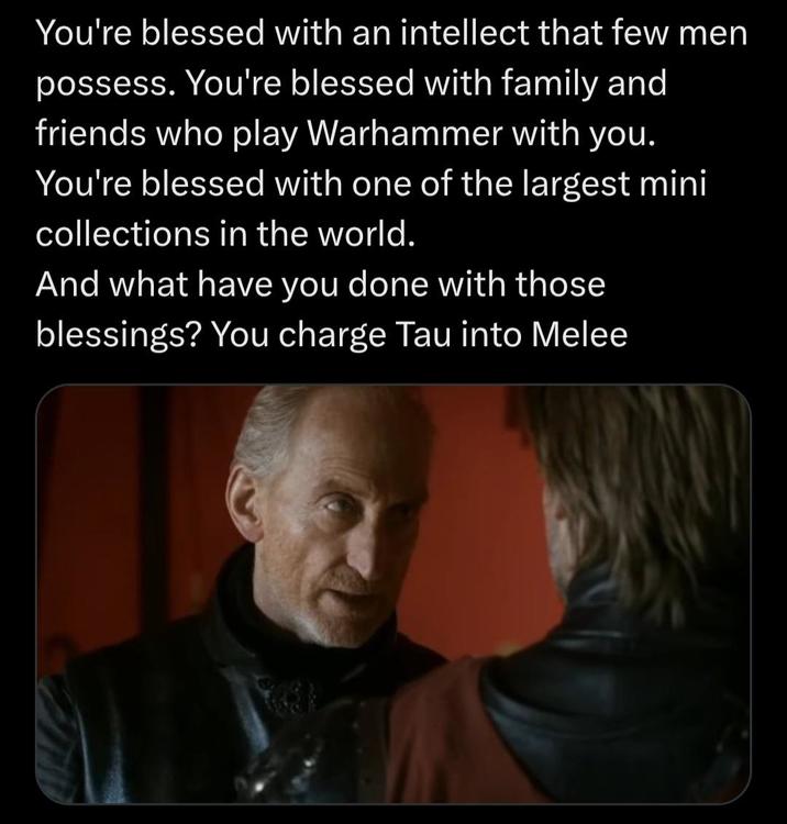 You're blessed with an intellect that few men possess. You're blessed with family and friends who play Warhammer with you. You're blessed with one of the largest mini collections in the world. And what have you done with those blessings? You charge Tau into Melee