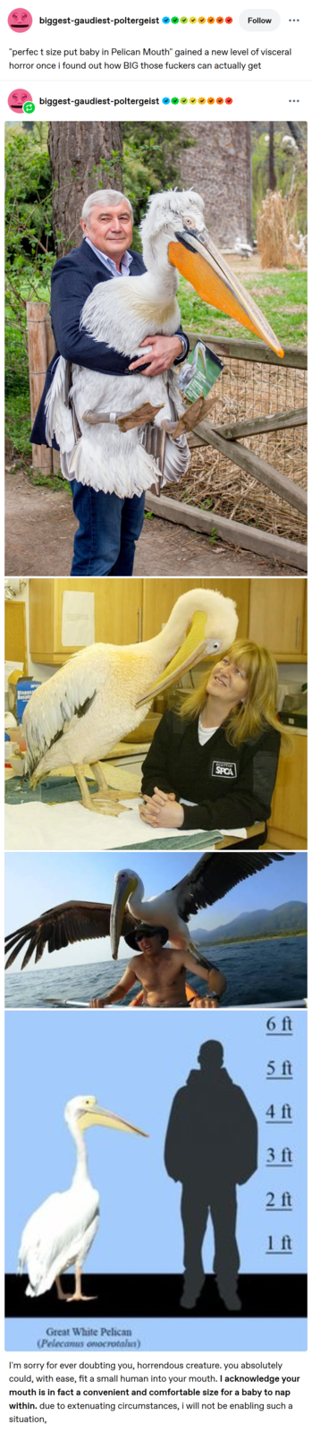 Post made December 7th 2025