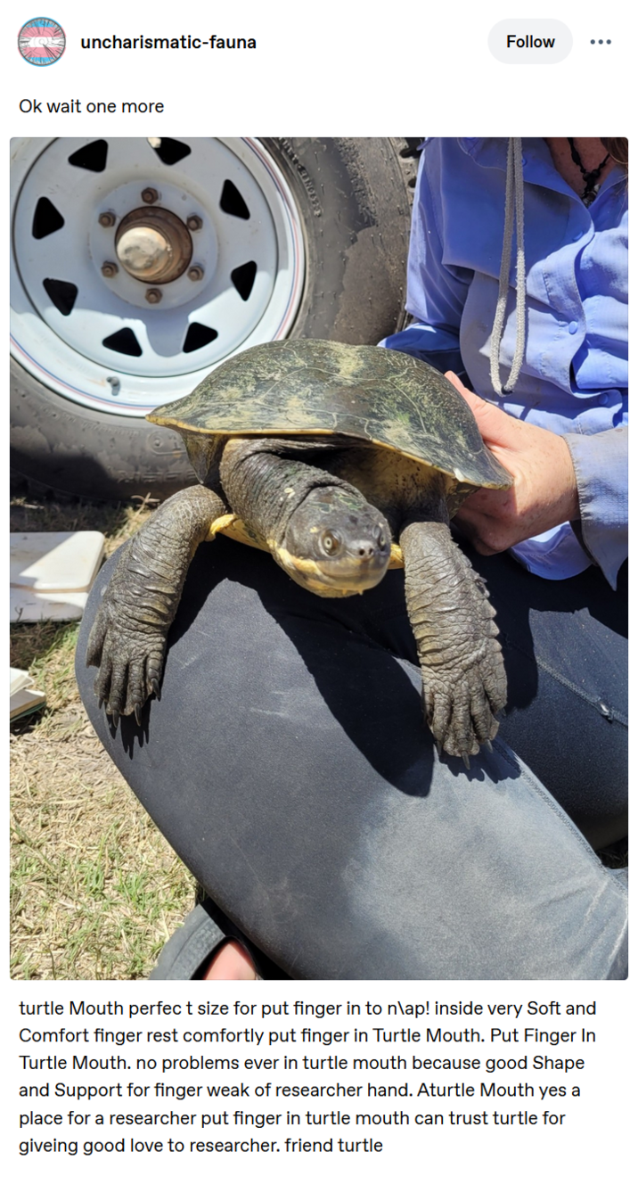 Post made March 26th 2025