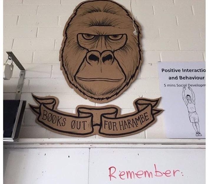 BOOKS OUT FOR HARAMBE Positive Interactio and Behaviour 5 mins Social Developm Remember: