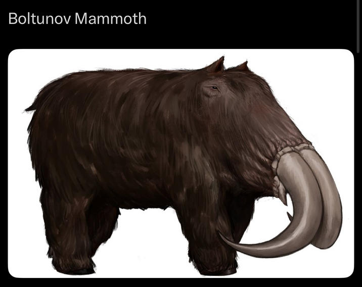 Boltunov Mammoth