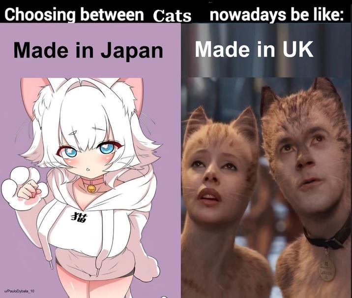 Choosing between Cats nowadays be like: Made in Japan u/PauloDybala 10 316 Made in UK LONDON