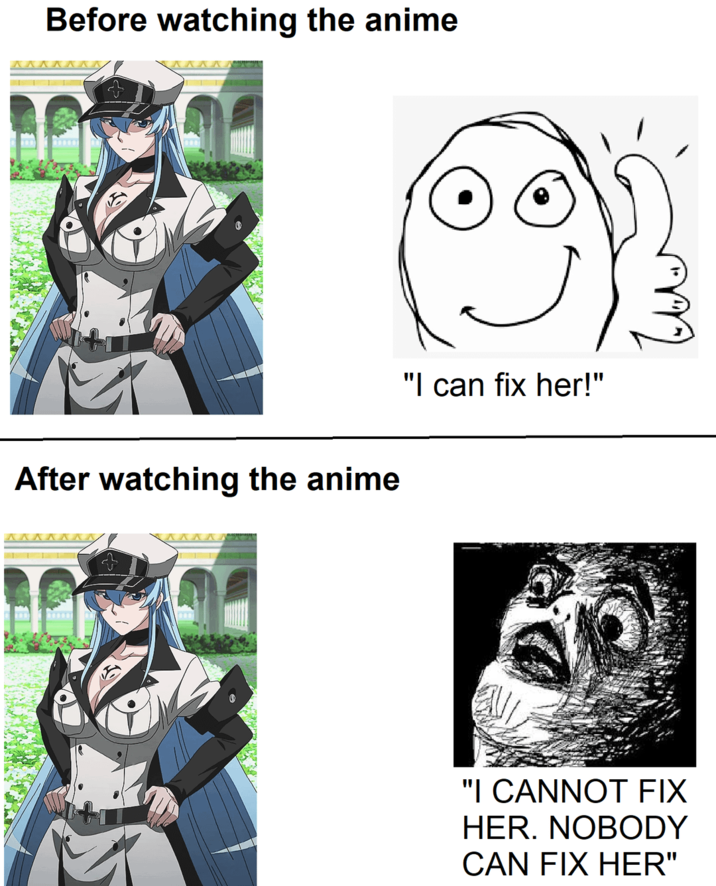 Before watching the anime After watching the anime "I can fix her!" "I CANNOT FIX HER. NOBODY CAN FIX HER"