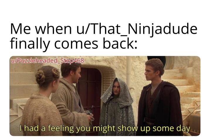 Me when u/That_Ninjadude finally comes back: w/Puzzleheaded Step468 I had a feeling you might show up some day