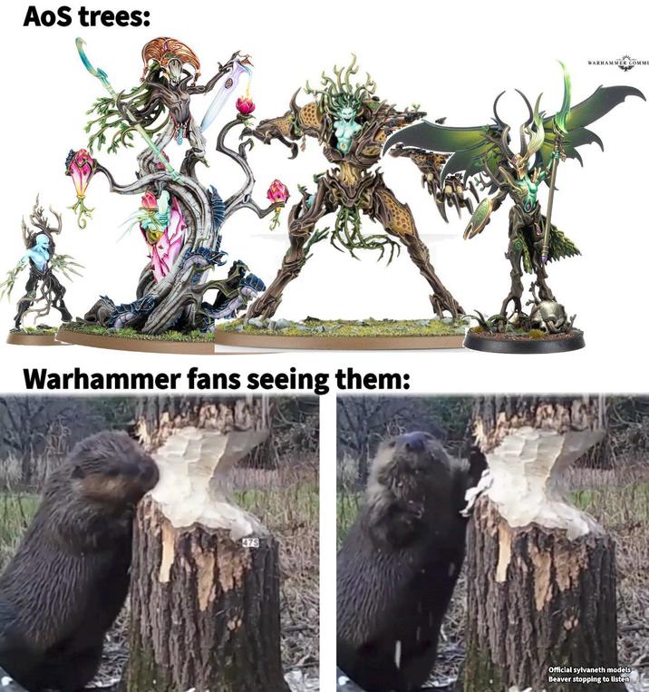 AoS trees: Warhammer fans seeing them: 475 WARHAMMER COMMU Official sylvaneth models Beaver stopping to listen