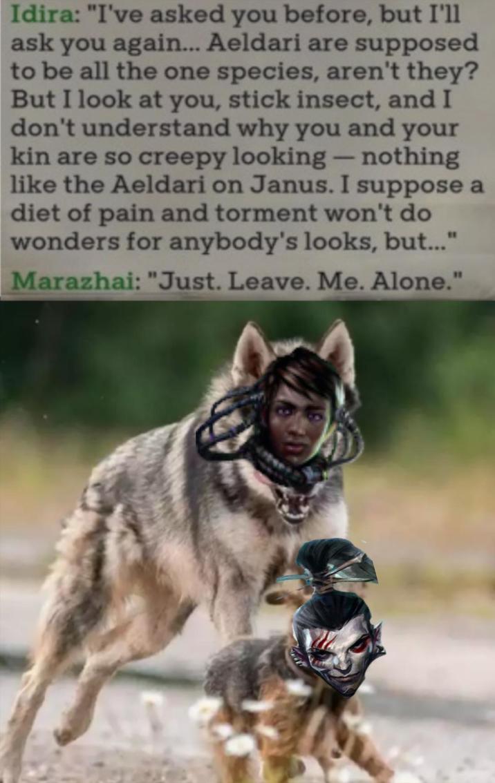 Idira: "I've asked you before, but I'll ask you again... Aeldari are supposed to be all the one species, aren't they? But I look at you, stick insect, and I don't understand why you and your kin are so creepy looking - nothing like the Aeldari on Janus. I suppose a diet of pain and torment won't do wonders for anybody's looks, but...' Marazhai: "Just. Leave. Me. Alone." - "1