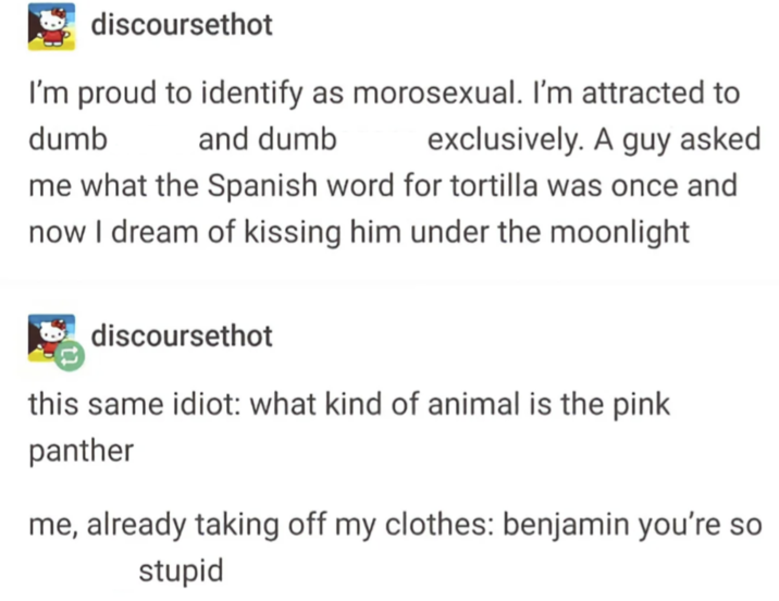 discoursethot I'm proud to identify as morosexual. I'm attracted to dumb exclusively. A guy asked and dumb me what the Spanish word for tortilla was once and now I dream of kissing him under the moonlight discoursethot this same idiot: what kind of animal is the pink panther me, already taking off my clothes: benjamin you're so stupid