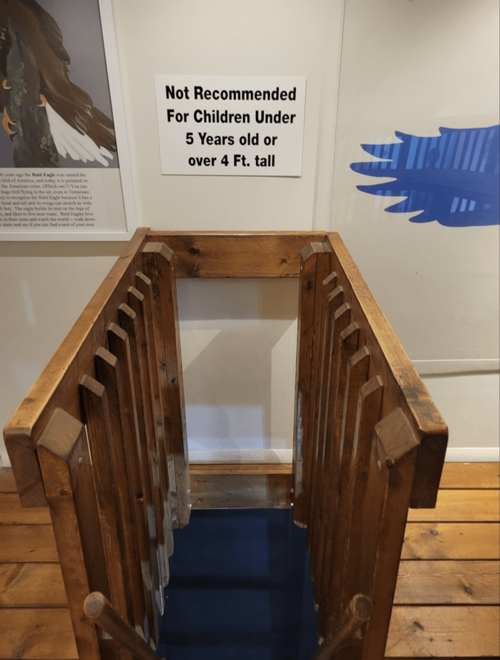 10 years ago the Bald Eagle was named the bird of America, and today it is pictured on the American coins. (Which one?) You can huge bird flying in the air, even in Tennessee. sy to recognize the Bald Eagle because it has a head and tail and its wings can stretch as wide s feet. The eagle builds its nest on the tops of s, and likes to live near water. Bald Eagles love it in their nests and watch the world -- walk down stairs and see if you can find a nest of your own. Not Recommended For Children Under 5 Years old or over 4 Ft. tall