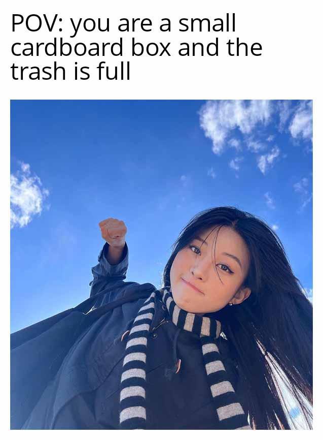 I am not emptying the trash | /r/memes | Know Your Meme