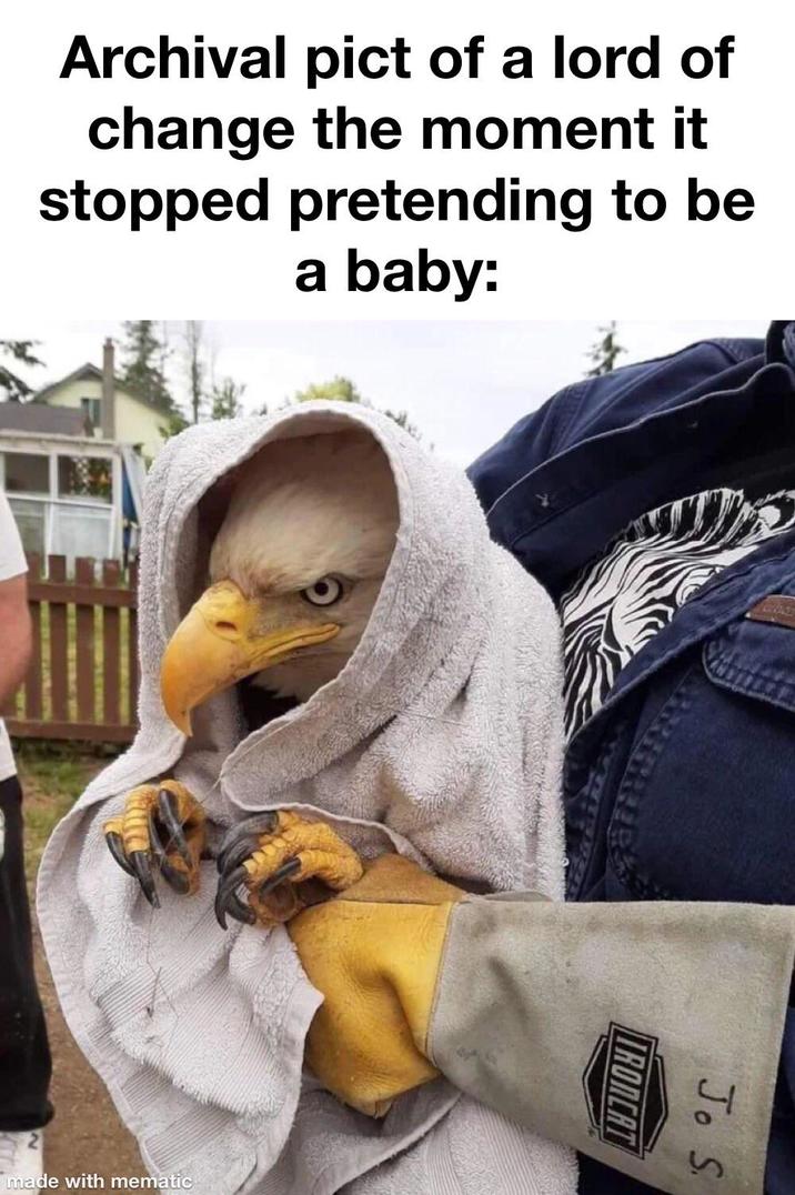 Archival pict of a lord of change the moment it stopped pretending to be a baby: made with mematic Jo S IRONCA