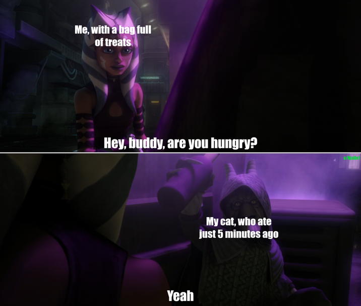 Me, with a bag full of treats Hey, buddy, are you hungry? Yeah My cat, who ate just 5 minutes ago u/Hjalle