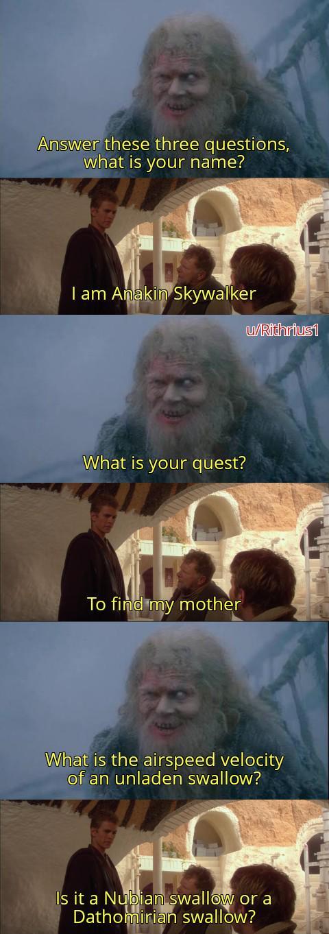 Answer these three questions, what is your name? I am Anakin Skywalker What is your quest? To find my mother u/Rithrius1 What is the airspeed velocity of an unladen swallow? Is it a Nubian swallow or a Dathomirian swallow?