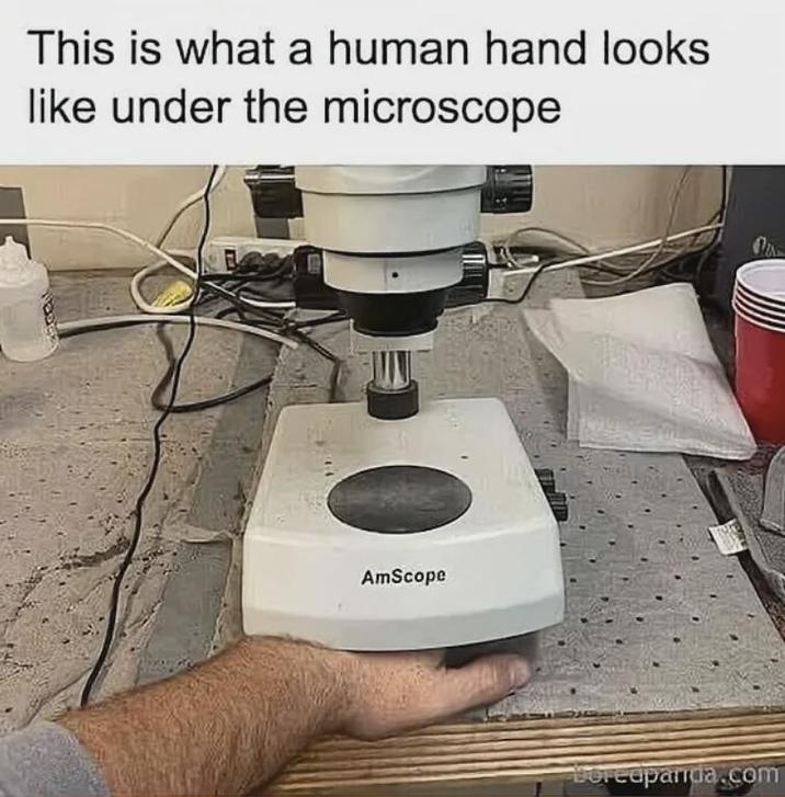 This is what a human hand looks like under the microscope AmScope Boredpanda.com