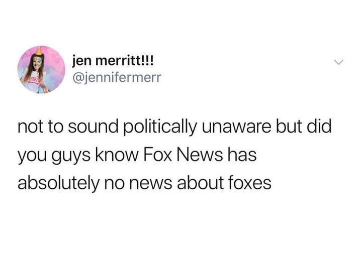 jen merritt!!! @jennifermerr not to sound politically unaware but did you guys know Fox News has absolutely no news about foxes
