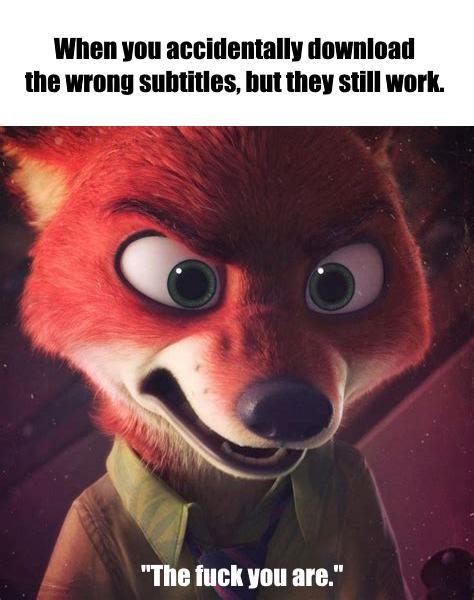 When you accidentally download the wrong subtitles, but they still work. "The f--- you are."