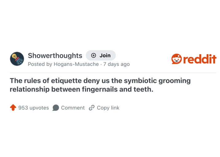 Showerthoughts + Join reddit Posted by Hogans-Mustache - 7 days ago The rules of etiquette deny us the symbiotic grooming relationship between fingernails and teeth. 953 upvotes Comment Copy link