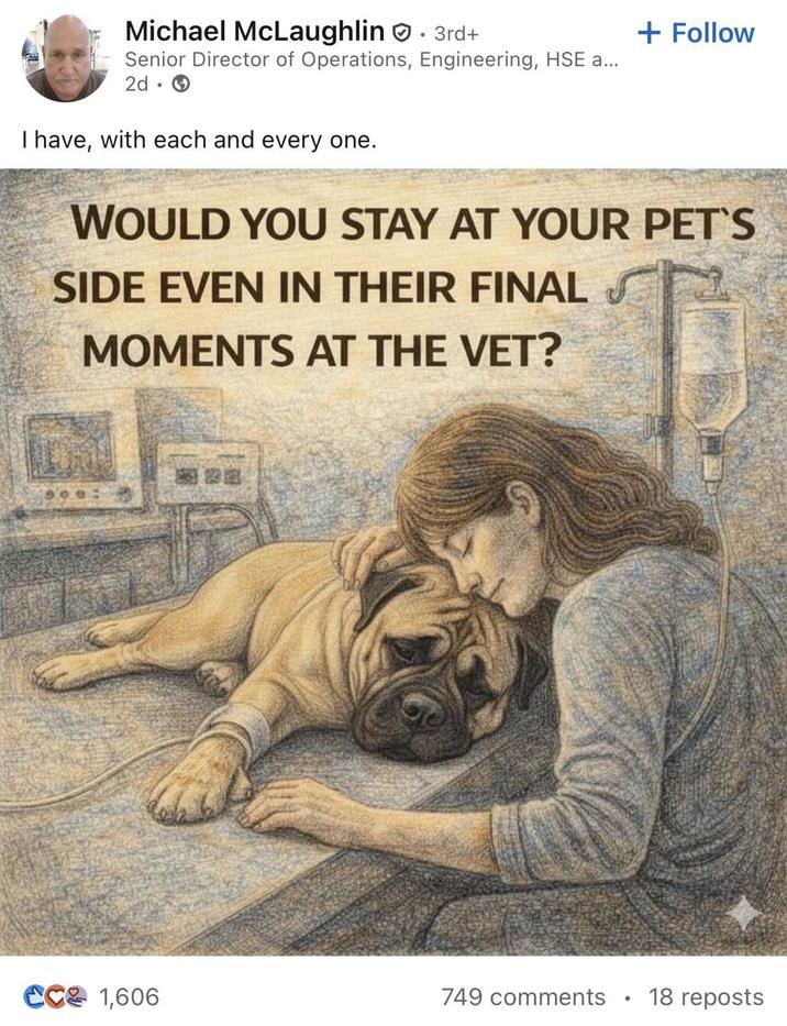 Michael McLaughlin • 3rd+ Senior Director of Operations, Engineering, HSE a... 2d. I have, with each and every one. + Follow WOULD YOU STAY AT YOUR PET'S SIDE EVEN IN THEIR FINAL MOMENTS AT THE VET? CC 1,606 749 comments 18 reposts