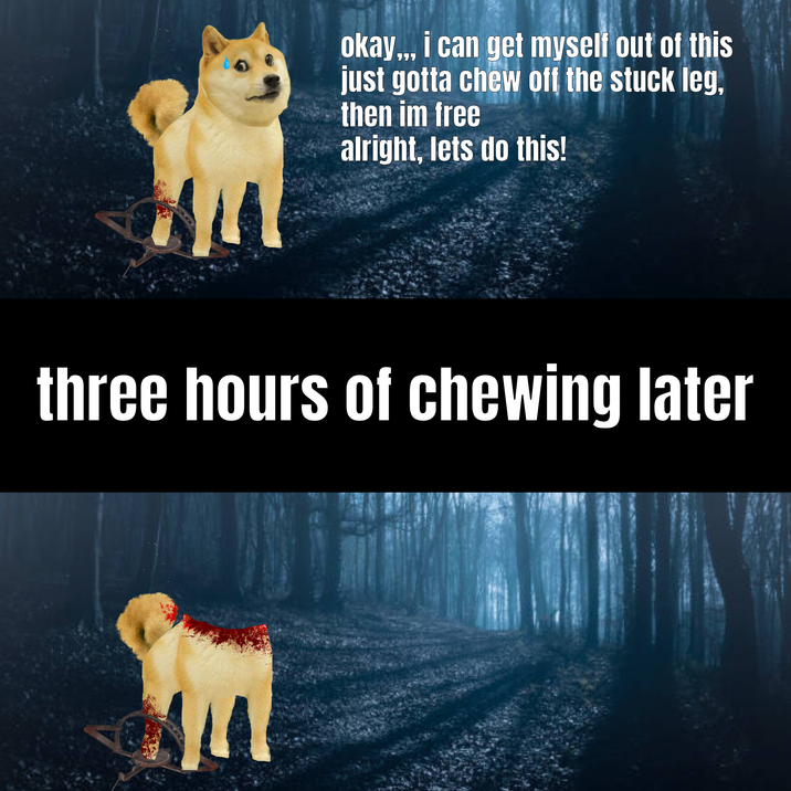 okay... i can get myself out of this just gotta chew off the stuck leg, then im free alright, lets do this! 7 three hours of chewing later