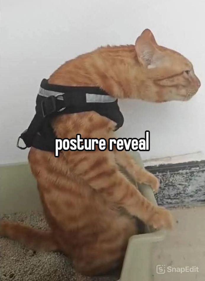 posture reveal S SnapEdit