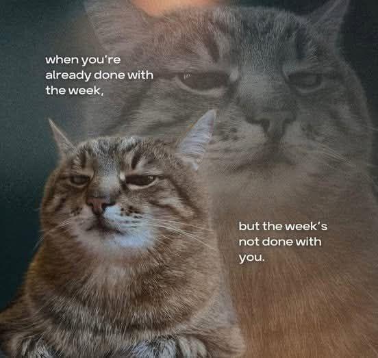 when you're already done with the week, but the week's not done with you.
