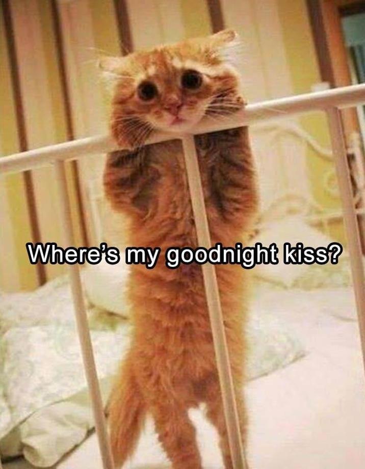 Where's my goodnight kiss?