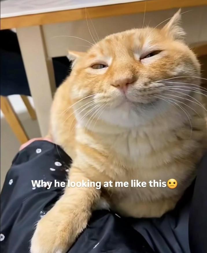 Why he looking at me like this