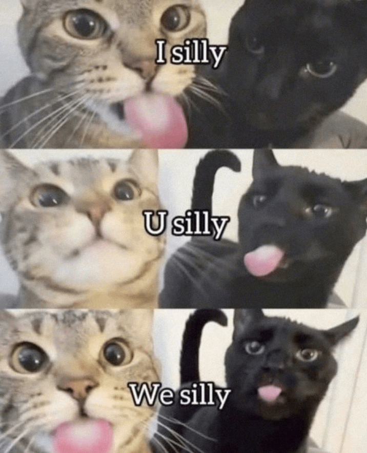 Isilly Usilly We silly