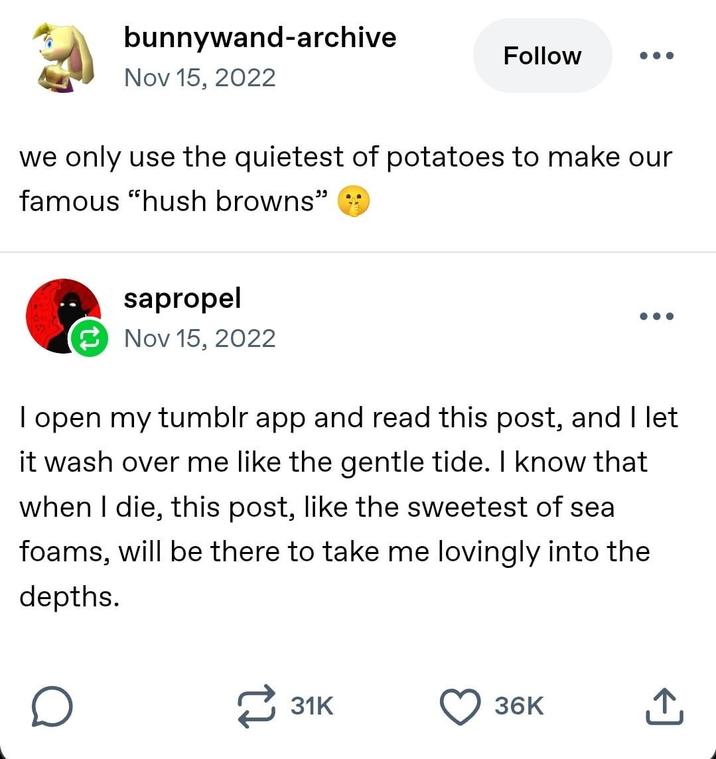 bunnywand-archive Nov 15, 2022 Follow ... we only use the quietest of potatoes to make our famous "hush browns" sapropel Nov 15, 2022 I open my tumblr app and read this post, and I let it wash over me like the gentle tide. I know that when I die, this post, like the sweetest of sea foams, will be there to take me lovingly into the depths. о 31K 36K +]